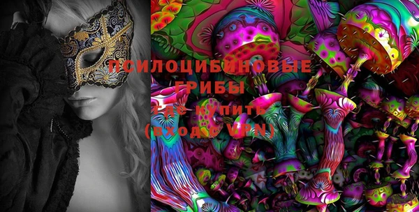 spice Балахна