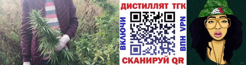 купить Хасавюрт даркнет формула ТГК вейп с тгк