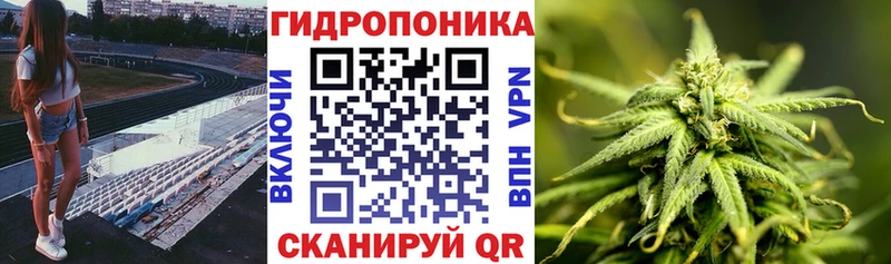 Бошки марихуана ГИДРОПОН купить наркотик Хасавюрт